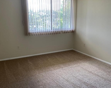 110 Birch Street - Photo Thumbnail 20