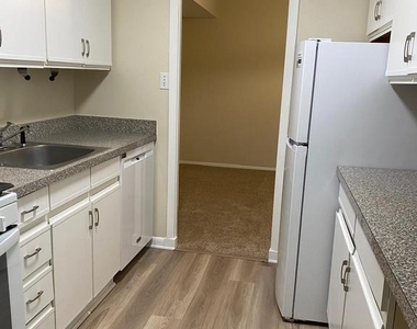 110 Birch Street - Photo Thumbnail 11