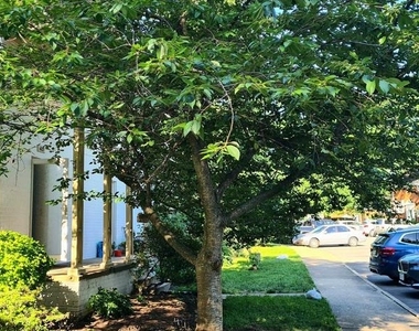 1622 Ripon Place - Photo Thumbnail 9