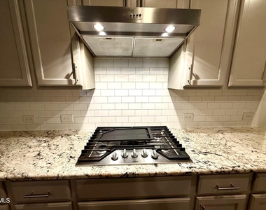 1037 Lakebrink Drive - Photo Thumbnail 9