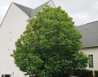 14 Hayworth Circle - Photo Thumbnail 36
