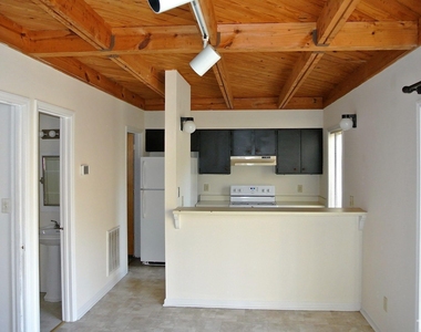216 Greene Street - Photo Thumbnail 2