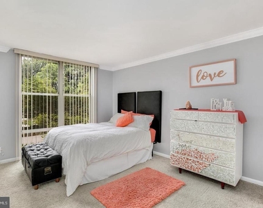 9039 Sligo Creek Parkway - Photo Thumbnail 14
