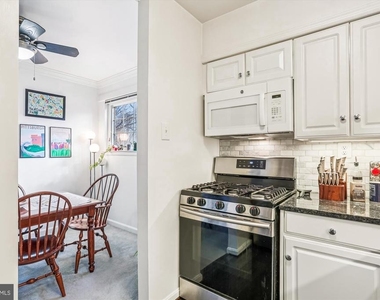 921 Prospect Street - Photo Thumbnail 11