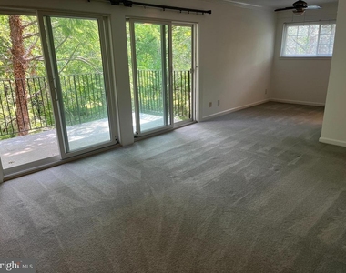 921 Prospect Street - Photo Thumbnail 28
