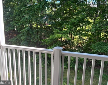 903 Woodbridge Court - Photo Thumbnail 27