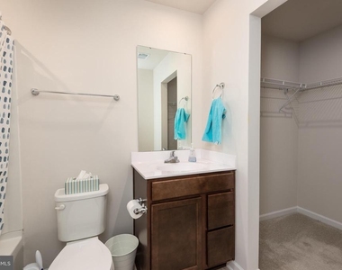 311 Yellow Bill Ln - Photo Thumbnail 27