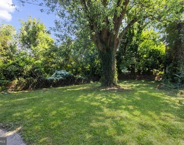 505 Mccabe Avenue - Photo Thumbnail 39