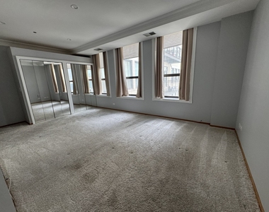 910 S Michigan Avenue - Photo Thumbnail 10