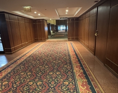 910 S Michigan Avenue - Photo Thumbnail 2