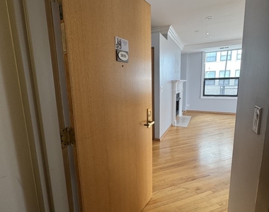 910 S Michigan Avenue - Photo Thumbnail 4