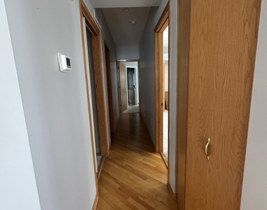 910 S Michigan Avenue - Photo Thumbnail 17