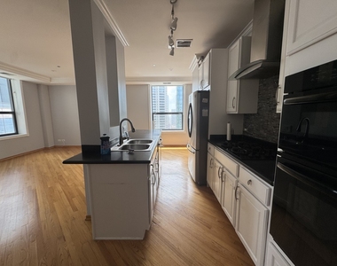 910 S Michigan Avenue - Photo Thumbnail 5