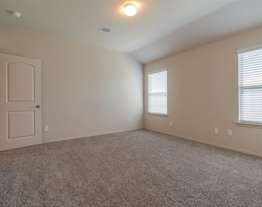 23603 Umbrella Pine - Photo Thumbnail 27