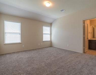 23603 Umbrella Pine - Photo Thumbnail 25