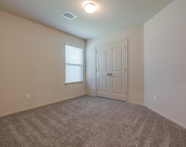 23603 Umbrella Pine - Photo Thumbnail 8
