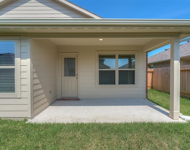 23603 Umbrella Pine - Photo Thumbnail 36