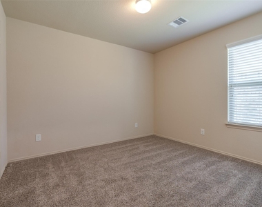 23603 Umbrella Pine - Photo Thumbnail 10