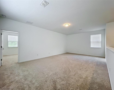 16007 Micelli Drive - Photo Thumbnail 36