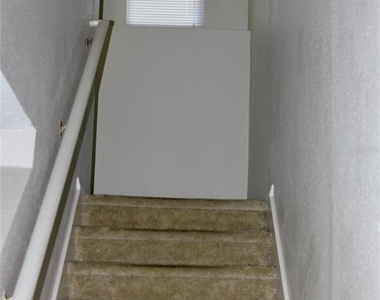 1017 Chalcedony Street - Photo Thumbnail 10