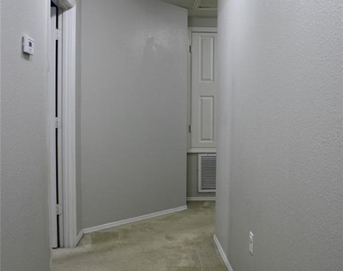 1017 Chalcedony Street - Photo Thumbnail 12