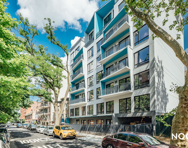 210 Parkville Ave 11230 - Photo Thumbnail 15