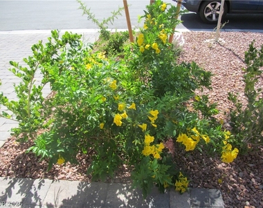 9166 Windsor Wood Street - Photo Thumbnail 1