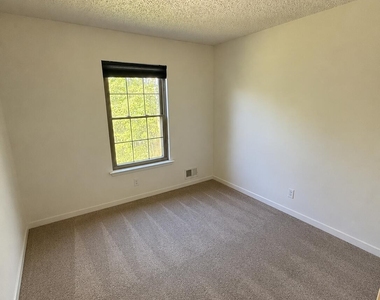 305 Wildflower Court - Photo Thumbnail 8