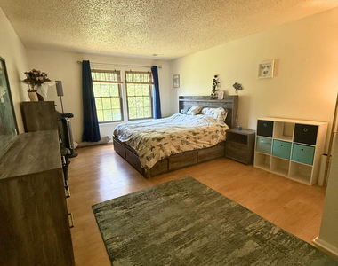 305 Wildflower Court - Photo Thumbnail 7