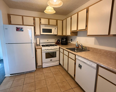 305 Wildflower Court - Photo Thumbnail 3