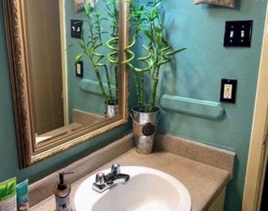 1341 N N Jim Miller Road - Photo Thumbnail 11