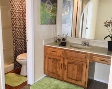 721 Lindenwood Drive - Photo Thumbnail 9