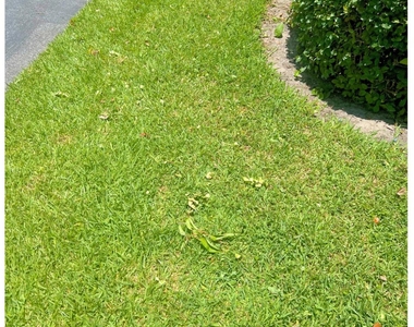 7382 Se Jamestown Terrace - Photo Thumbnail 20