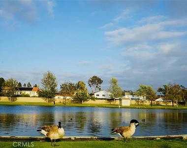 15596 Dawnson - Photo Thumbnail 19