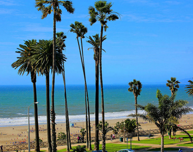 1025 Ocean Avenue - Photo Thumbnail 15