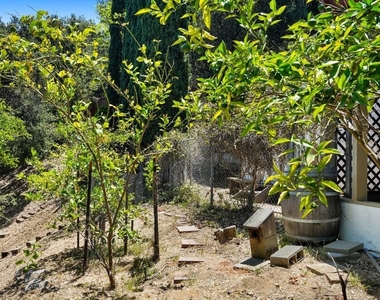 22013 Upper Alta Drive - Photo Thumbnail 34