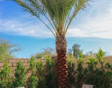 43329 Passagio Lago Way - Photo Thumbnail 27