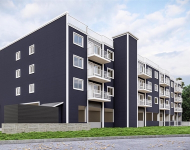 16 Dowd Street - Photo Thumbnail 13