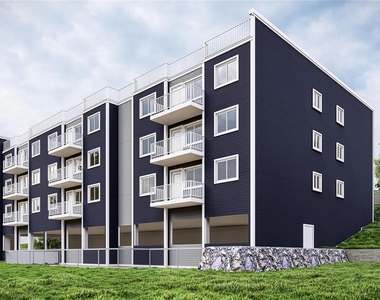 16 Dowd Street - Photo Thumbnail 15
