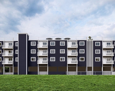 16 Dowd Street - Photo Thumbnail 12