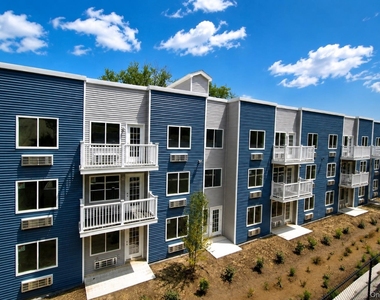 16 Dowd Street - Photo Thumbnail 38