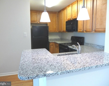 10302 Appalachian Circle - Photo Thumbnail 7