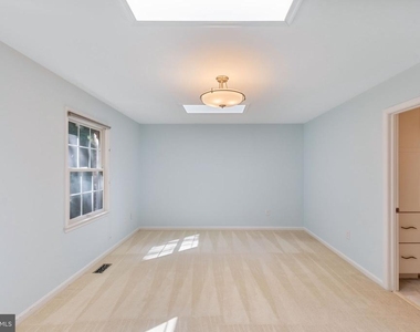 6860 Williamsburg Pond Court - Photo Thumbnail 28