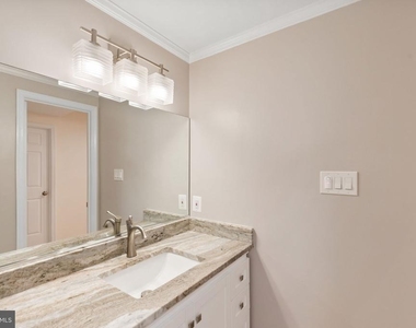 6860 Williamsburg Pond Court - Photo Thumbnail 39
