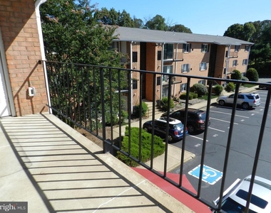 1805 William Street - Photo Thumbnail 16