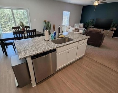 17111 J Shelby Guss Way - Photo Thumbnail 4