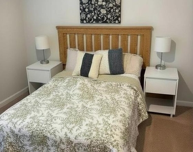 17111 J Shelby Guss Way - Photo Thumbnail 13