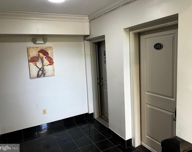 1219 Oronoco Street - Photo Thumbnail 2