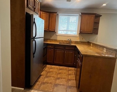 1219 Oronoco Street - Photo Thumbnail 8