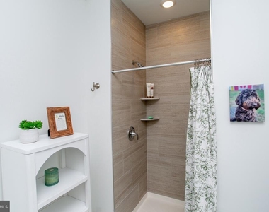 233 Lewis Fisher - Photo Thumbnail 19